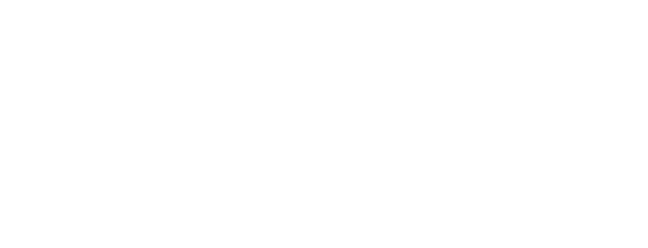 Superior Solutions IT